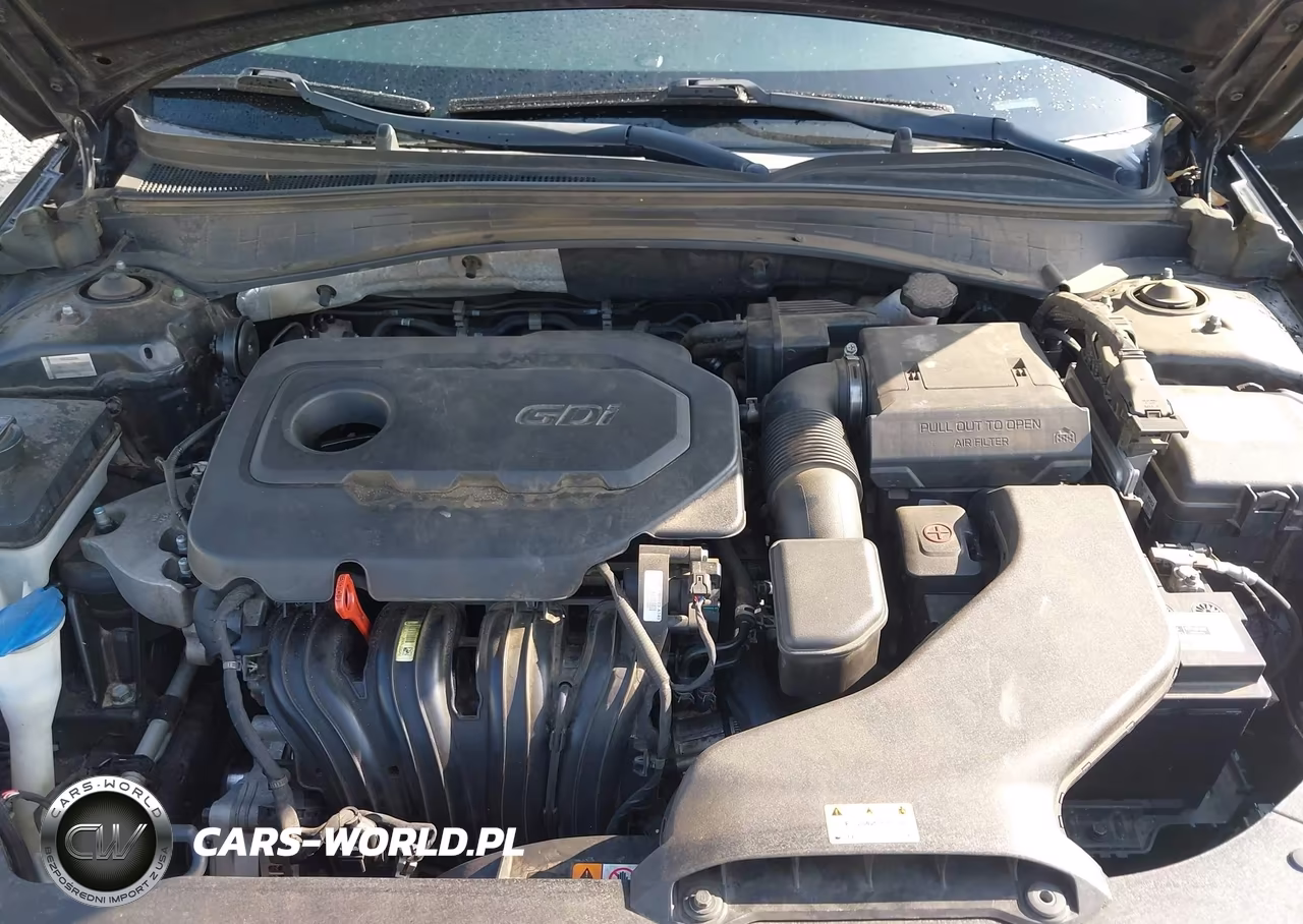 2017 Kia Optima Lx VIN:KNAGT4L34H5161711 - 10
