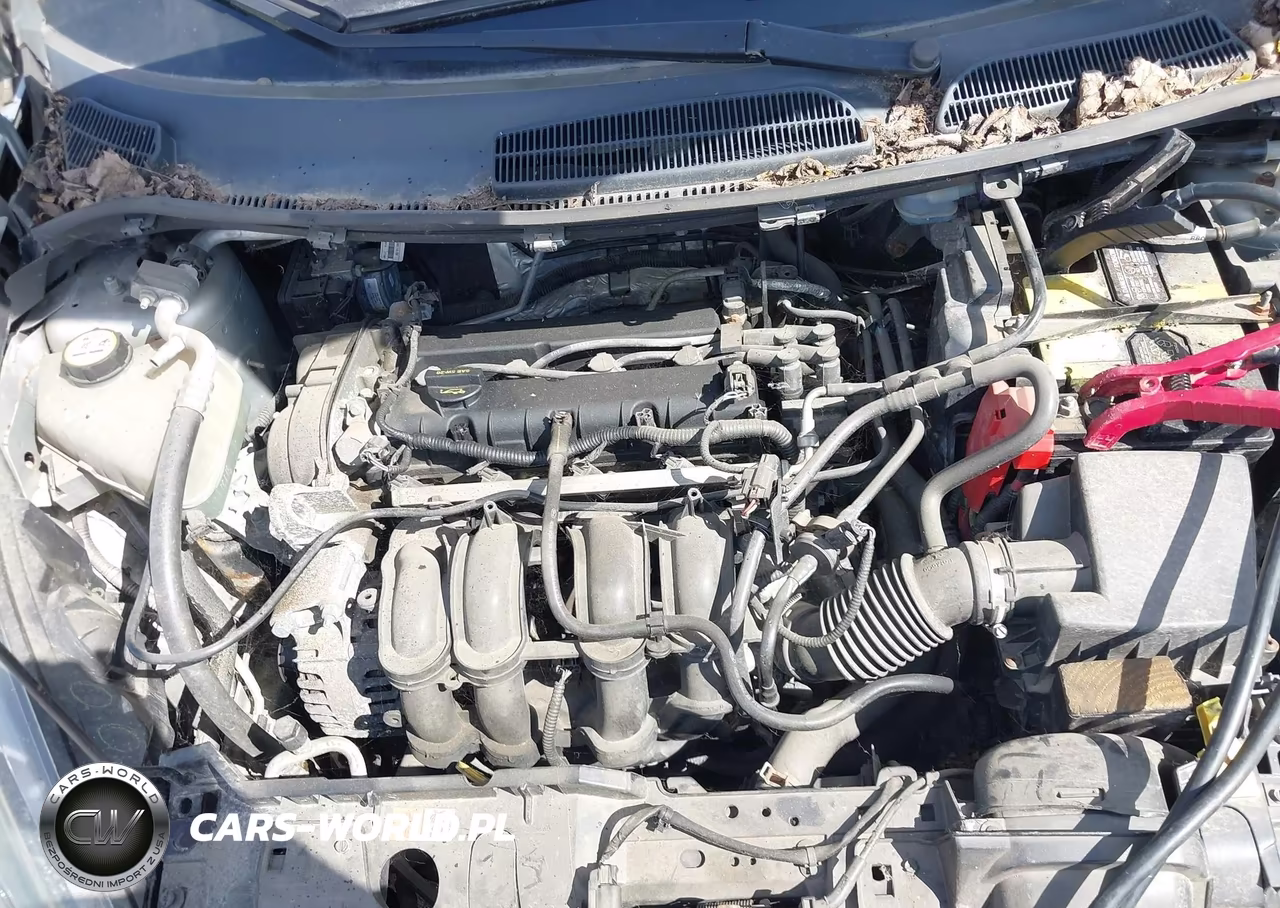 2014 Ford Fiesta Se VIN:3FADP4EJ8EM102680 - 10
