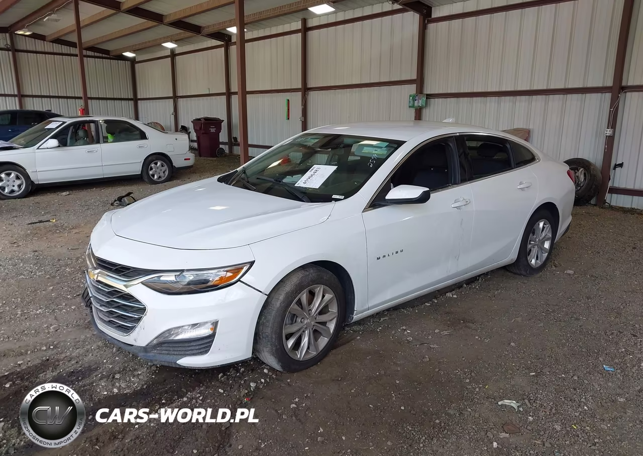 2023 Chevrolet Malibu Fwd 1Lt VIN:1G1ZD5ST8PF178299 - 2