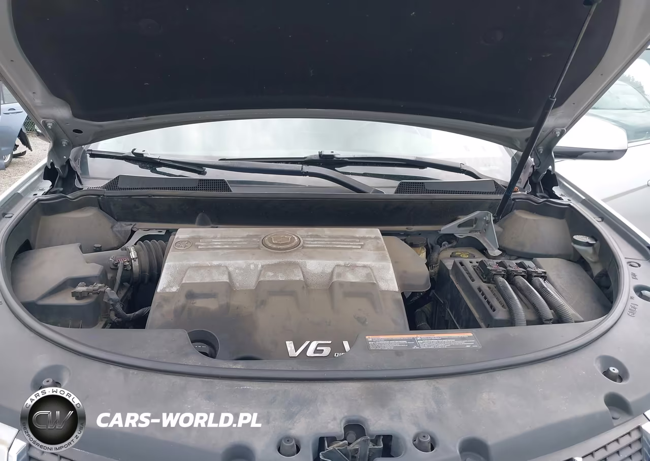 2010 Cadillac Srx Performance Collection VIN:3GYFNBEY3AS572903 - 10