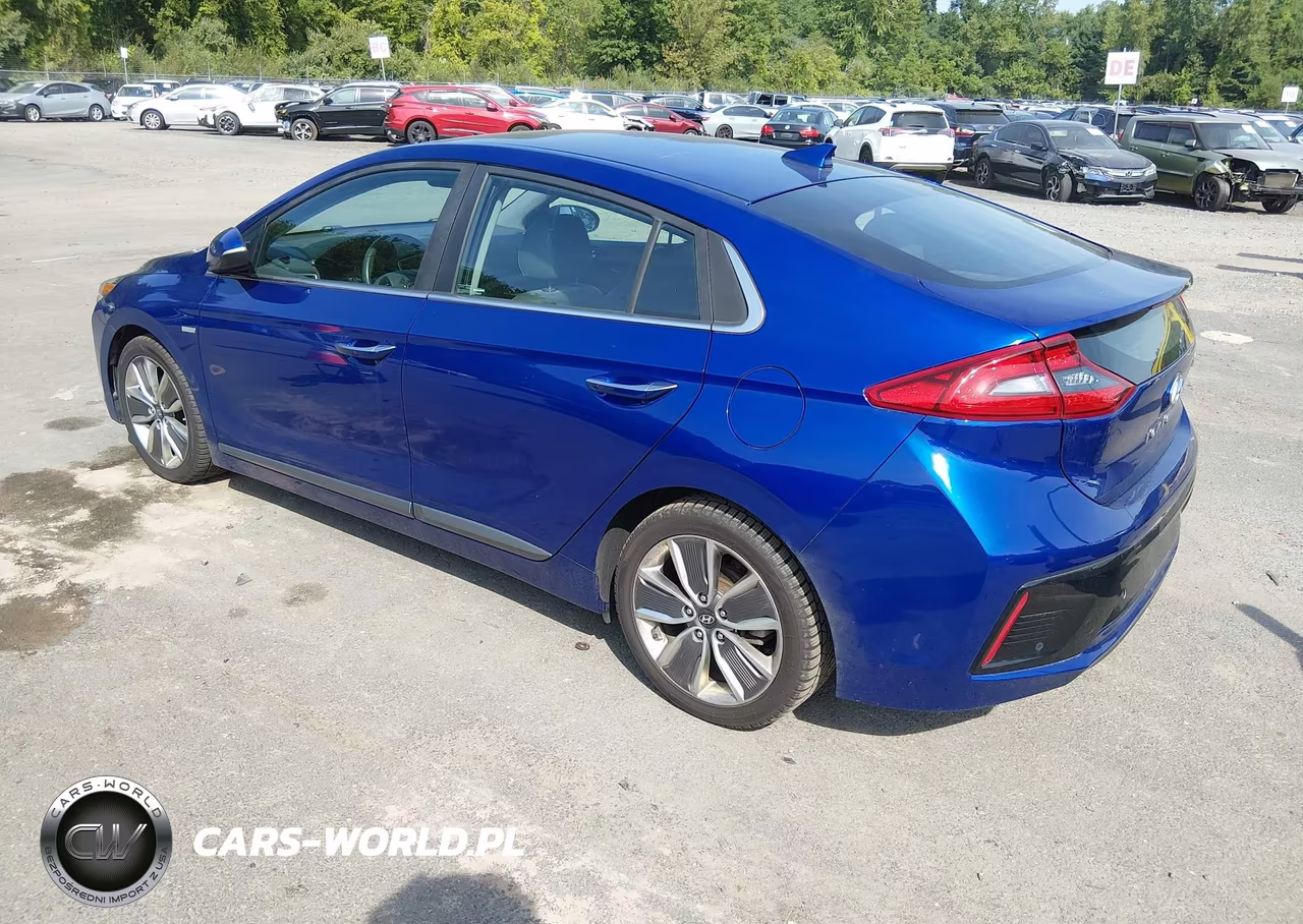 2019 Hyundai Ioniq Hybrid Limited VIN:KMHC05LC1KU130389 - 3