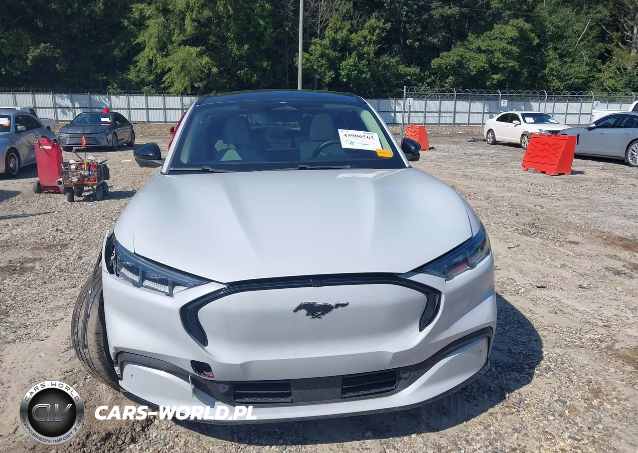 2022 Ford Mustang Mach-E Premium VIN:3FMTK3RM9NMA43248 - 12