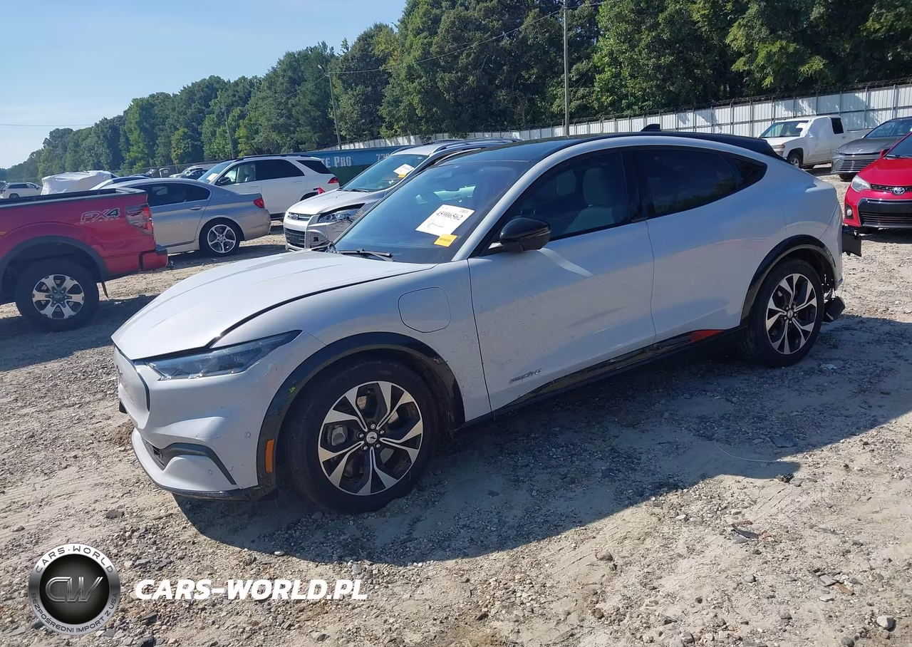 2022 Ford Mustang Mach-E Premium VIN:3FMTK3RM9NMA43248 - 2