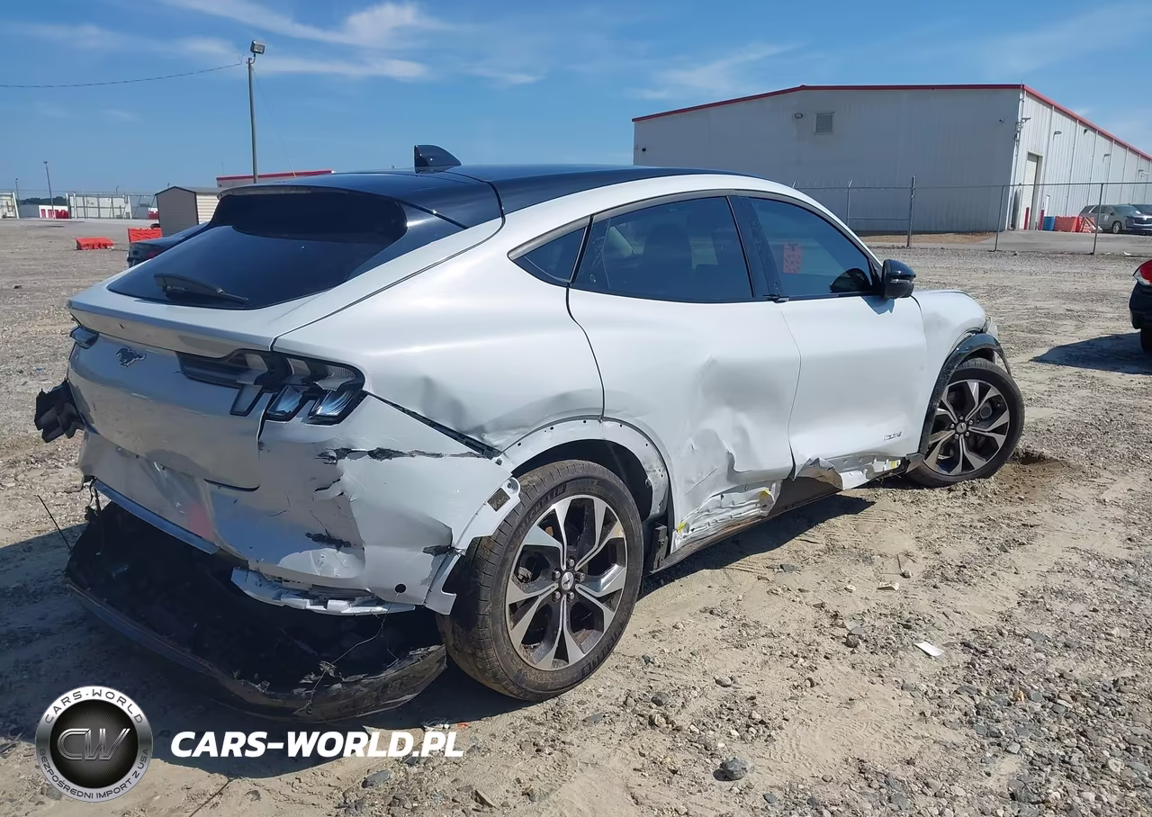 2022 Ford Mustang Mach-E Premium VIN:3FMTK3RM9NMA43248 - 20