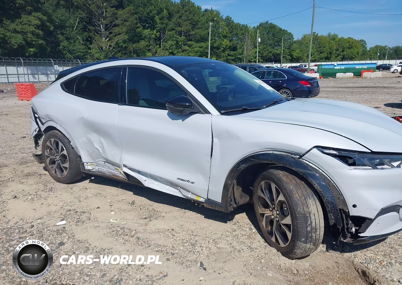 2022 Ford Mustang Mach-E Premium VIN:3FMTK3RM9NMA43248 - 6