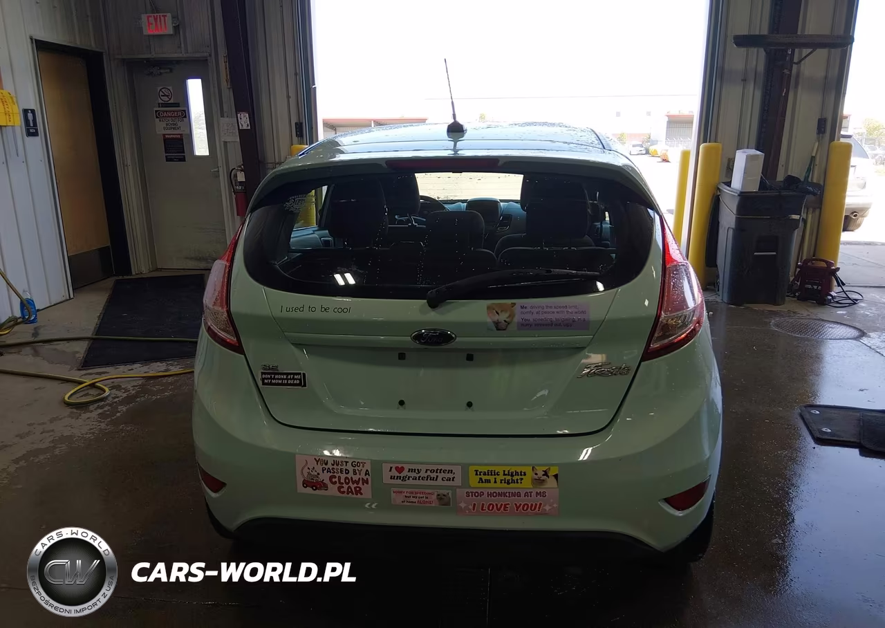 2017 Ford Fiesta Se VIN:3FADP4EJ3HM116720 - 16