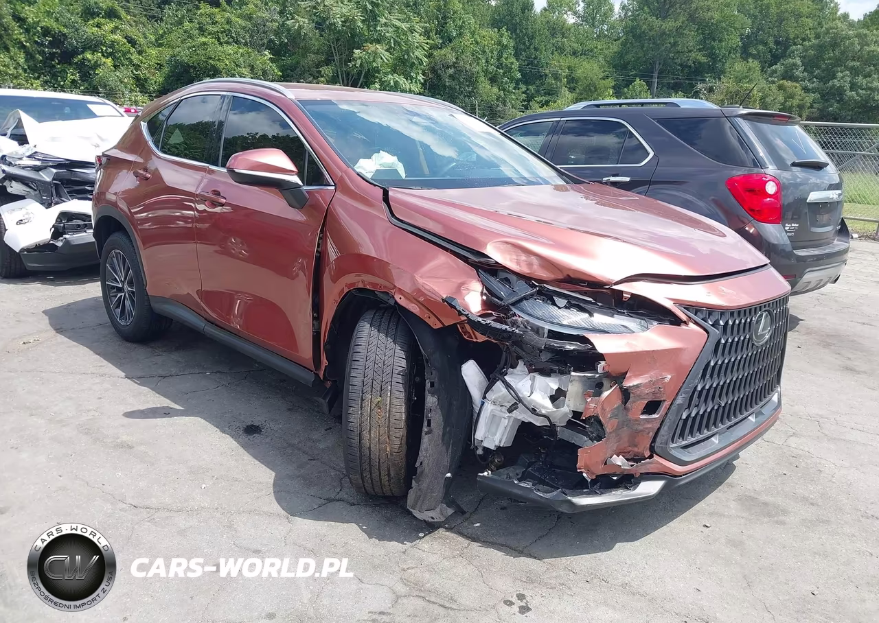 2025 Lexus Nx 250 VIN:2T2ADCAZ4SC031215 - 1