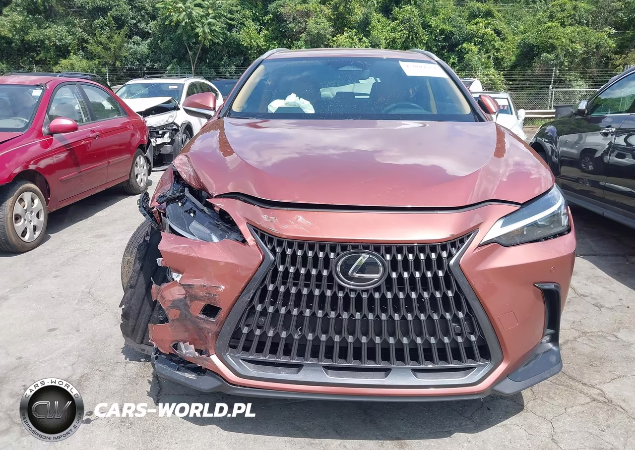 2025 Lexus Nx 250 VIN:2T2ADCAZ4SC031215 - 12