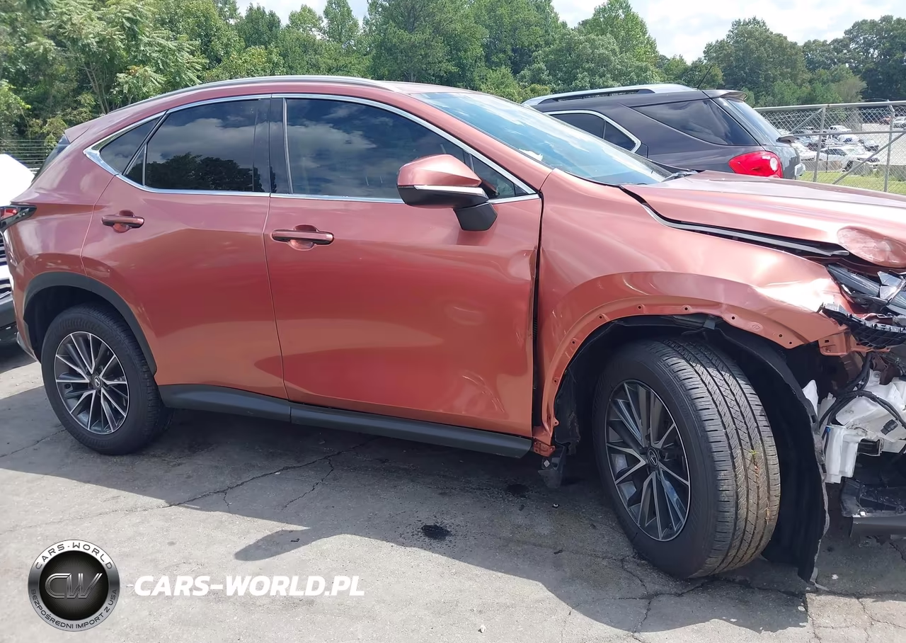 2025 Lexus Nx 250 VIN:2T2ADCAZ4SC031215 - 13