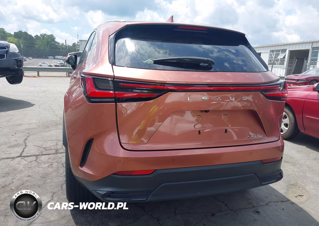 2025 Lexus Nx 250 VIN:2T2ADCAZ4SC031215 - 16