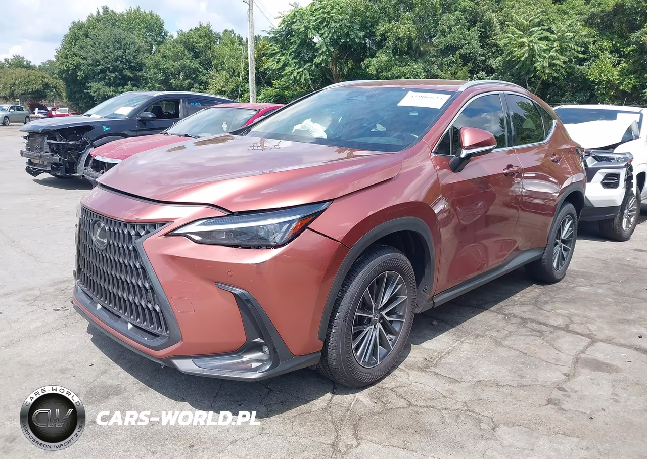 2025 Lexus Nx 250 VIN:2T2ADCAZ4SC031215 - 2