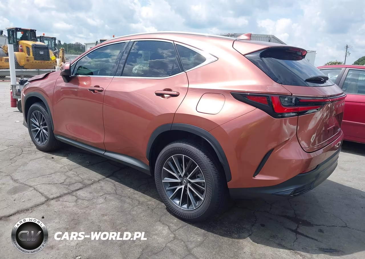 2025 Lexus Nx 250 VIN:2T2ADCAZ4SC031215 - 3