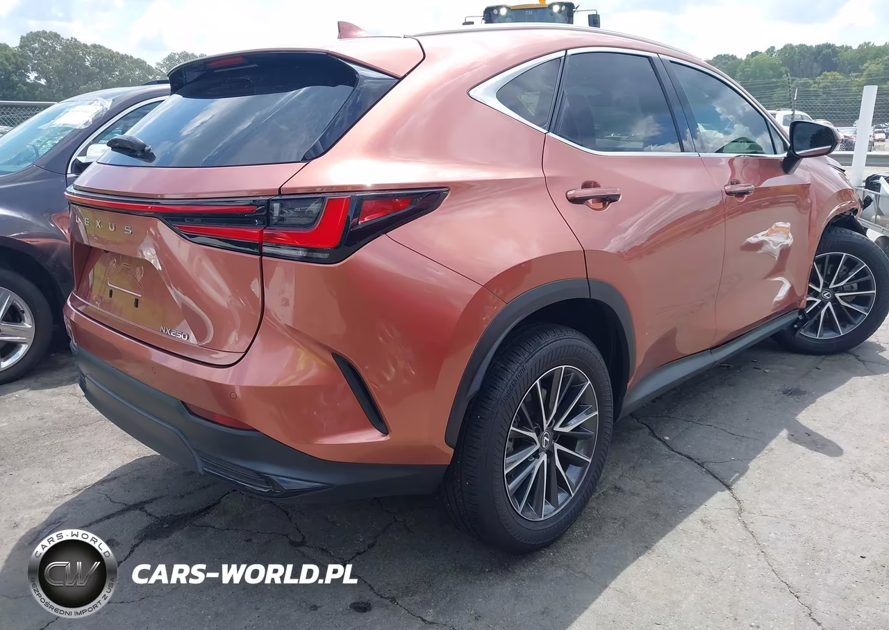 2025 Lexus Nx 250 VIN:2T2ADCAZ4SC031215 - 4