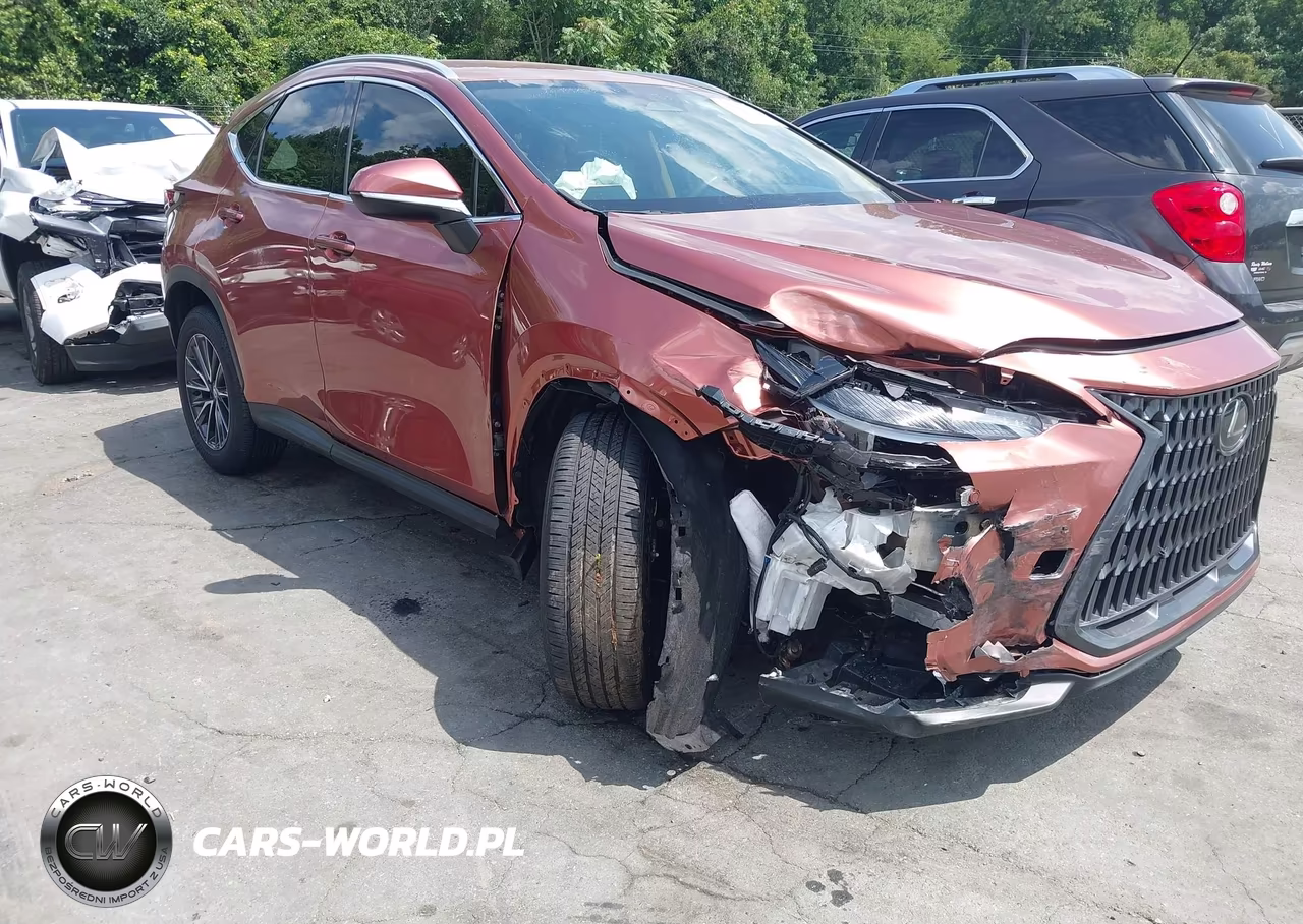 2025 Lexus Nx 250 VIN:2T2ADCAZ4SC031215 - 6