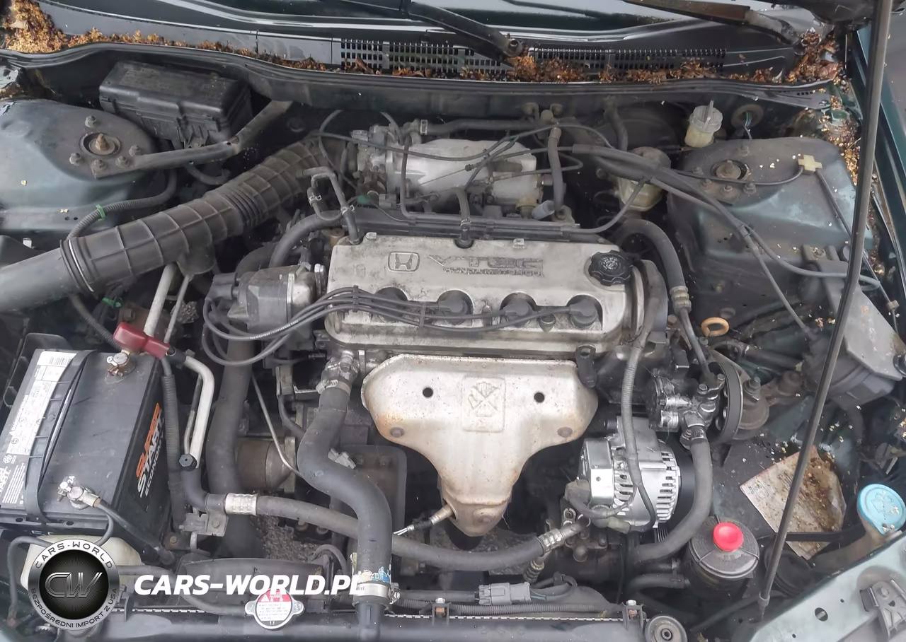 1998 Honda Accord Lx VIN:1HGCG5540WA177735 - 10