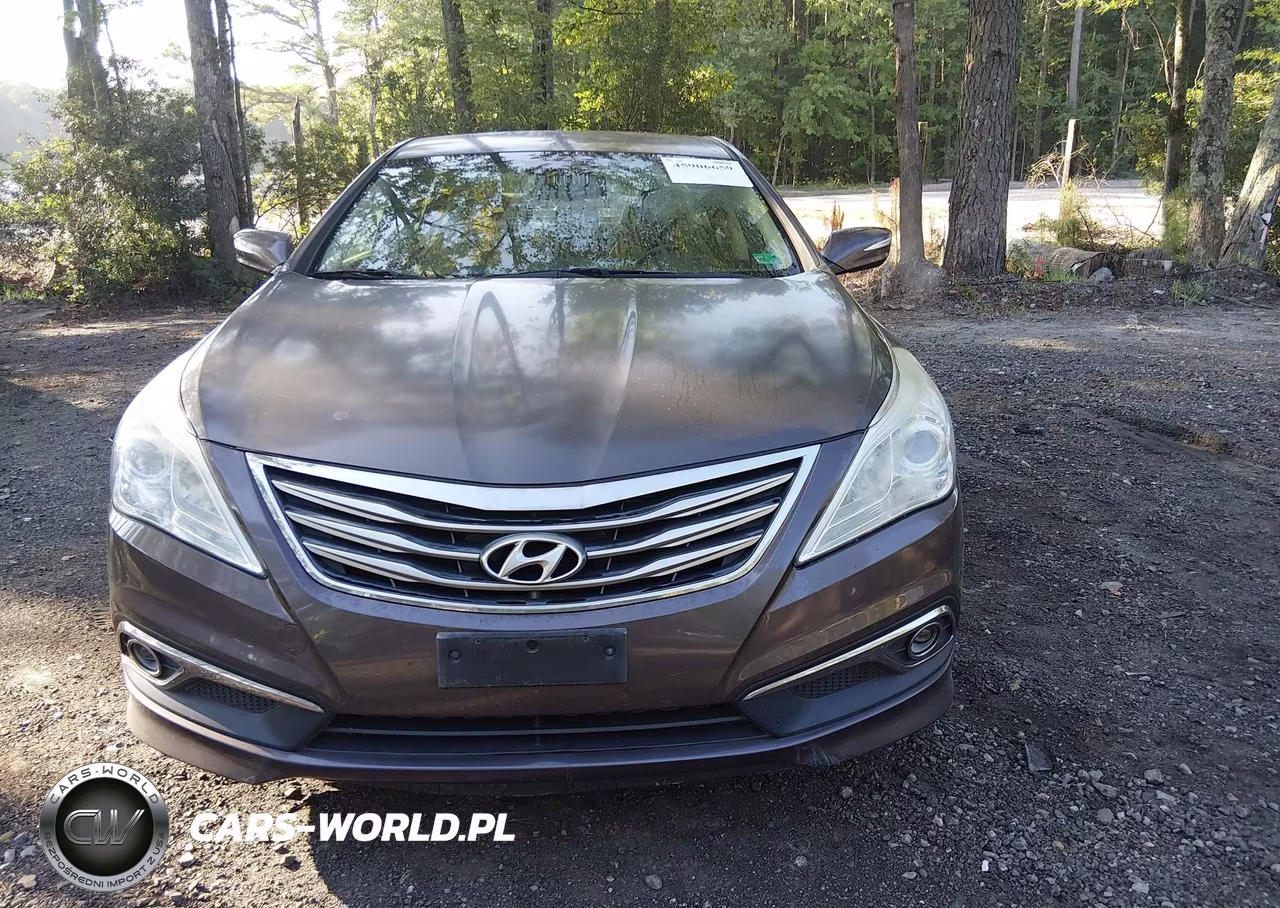 2016 Hyundai Azera VIN:KMHFG4JG6GA532703 - 12