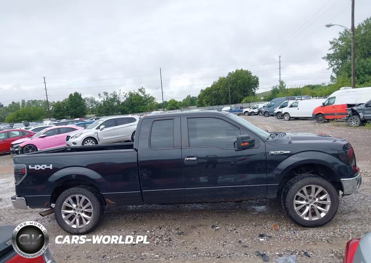 2011 Ford F-150 Xlt VIN:1FTFX1EF2BFA68132 - 13