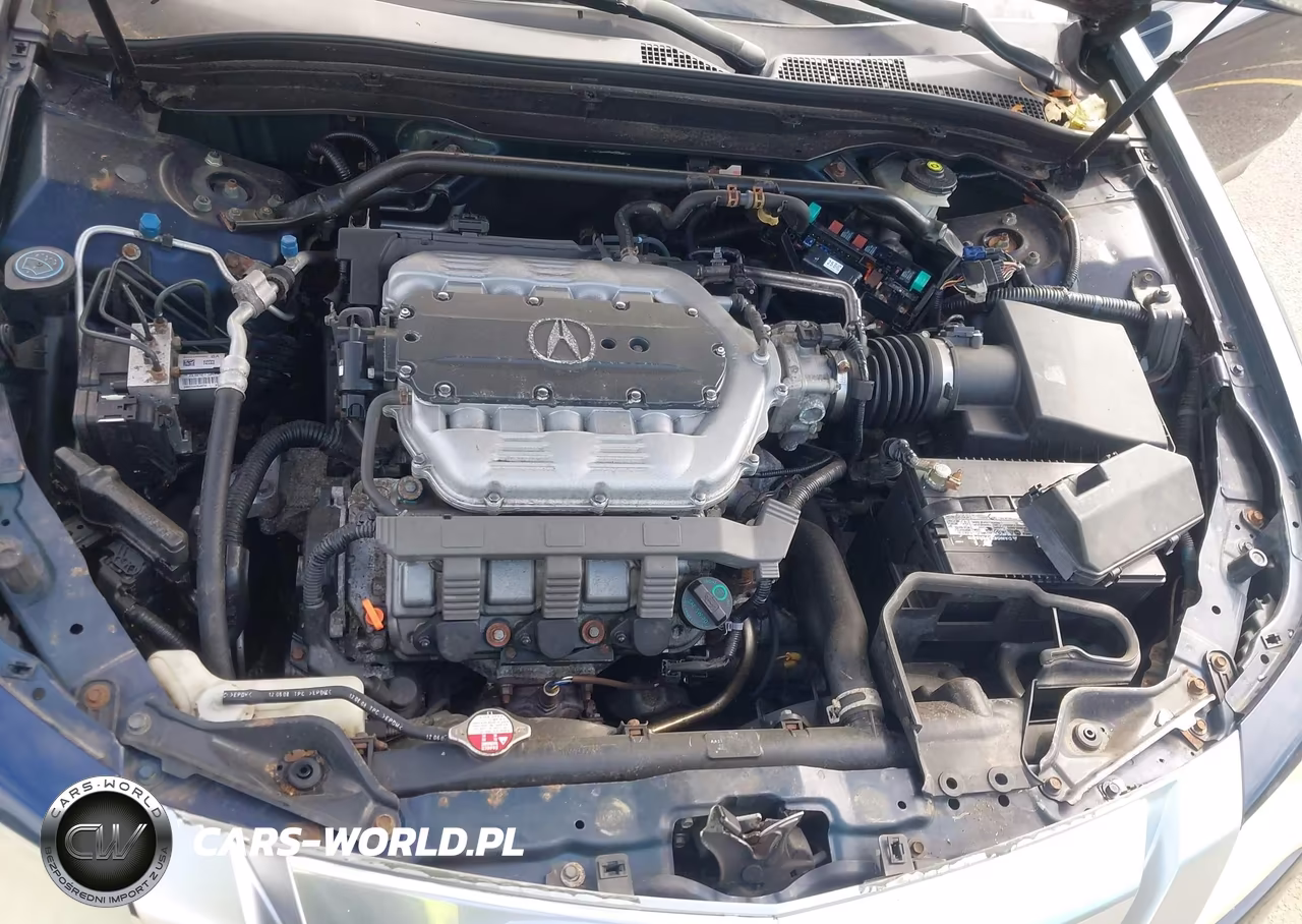 2009 Acura Tl 3.5 VIN:19UUA86539A009641 - 10