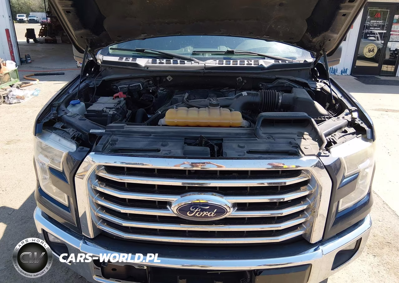 2015 Ford F-150 Xlt VIN:1FTEW1EP9FKF23594 - 10
