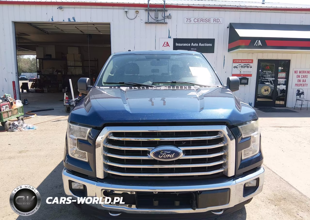 2015 Ford F-150 Xlt VIN:1FTEW1EP9FKF23594 - 12