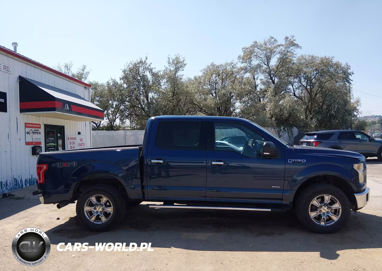 2015 Ford F-150 Xlt VIN:1FTEW1EP9FKF23594 - 13