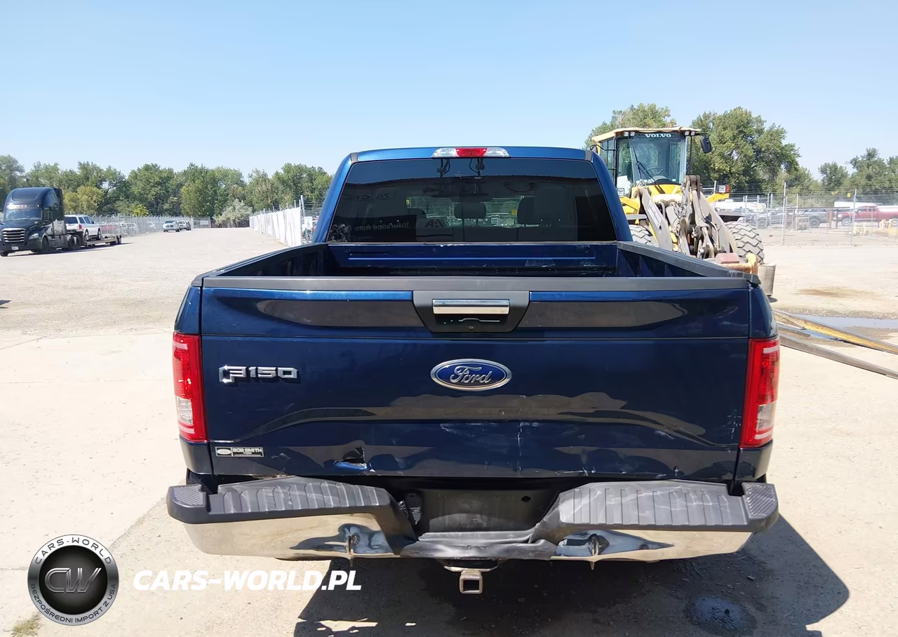 2015 Ford F-150 Xlt VIN:1FTEW1EP9FKF23594 - 16