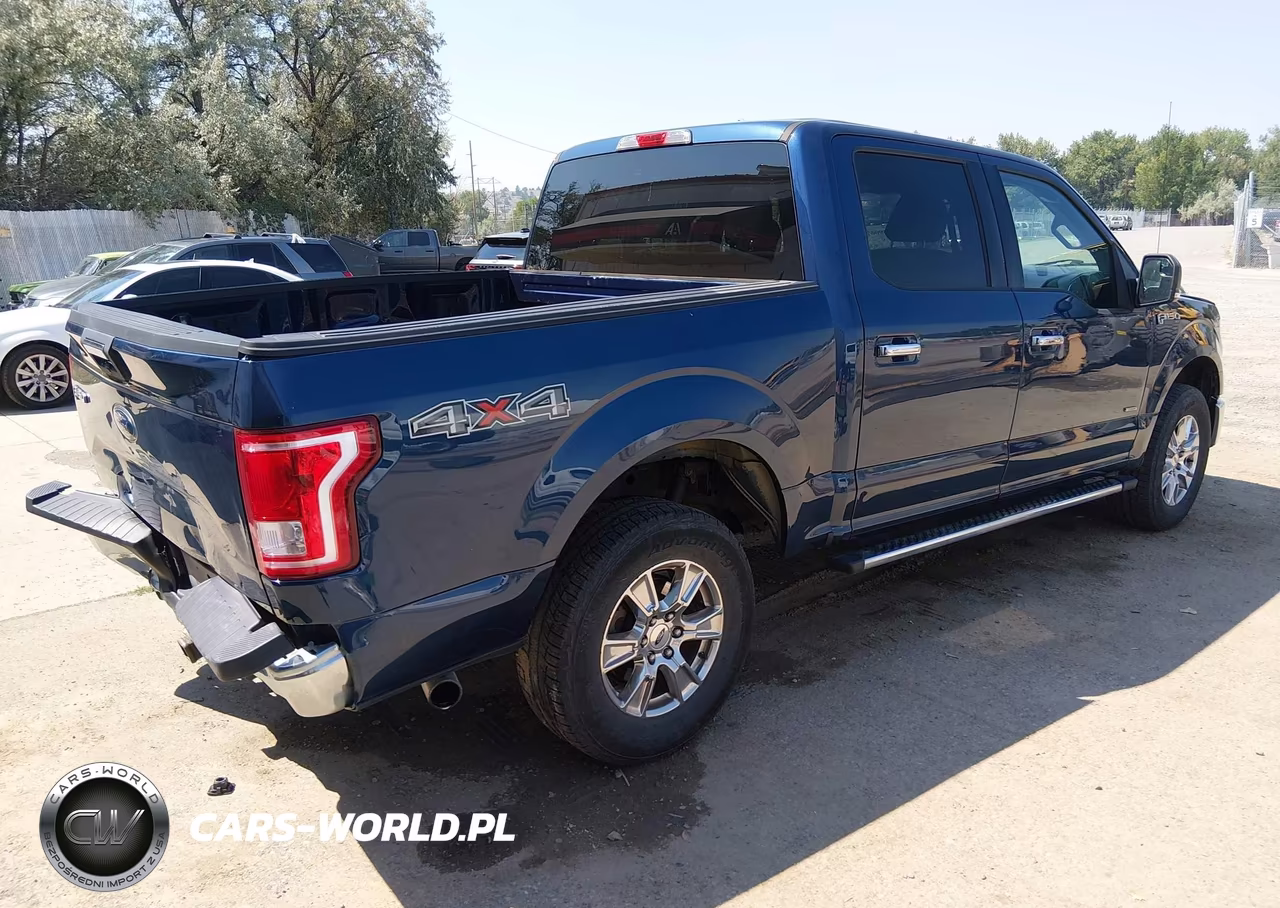 2015 Ford F-150 Xlt VIN:1FTEW1EP9FKF23594 - 4