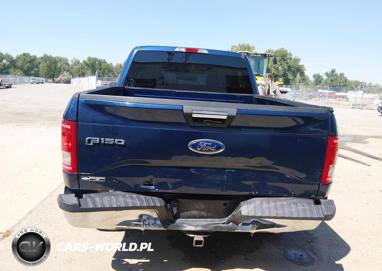 2015 Ford F-150 Xlt VIN:1FTEW1EP9FKF23594 - 6