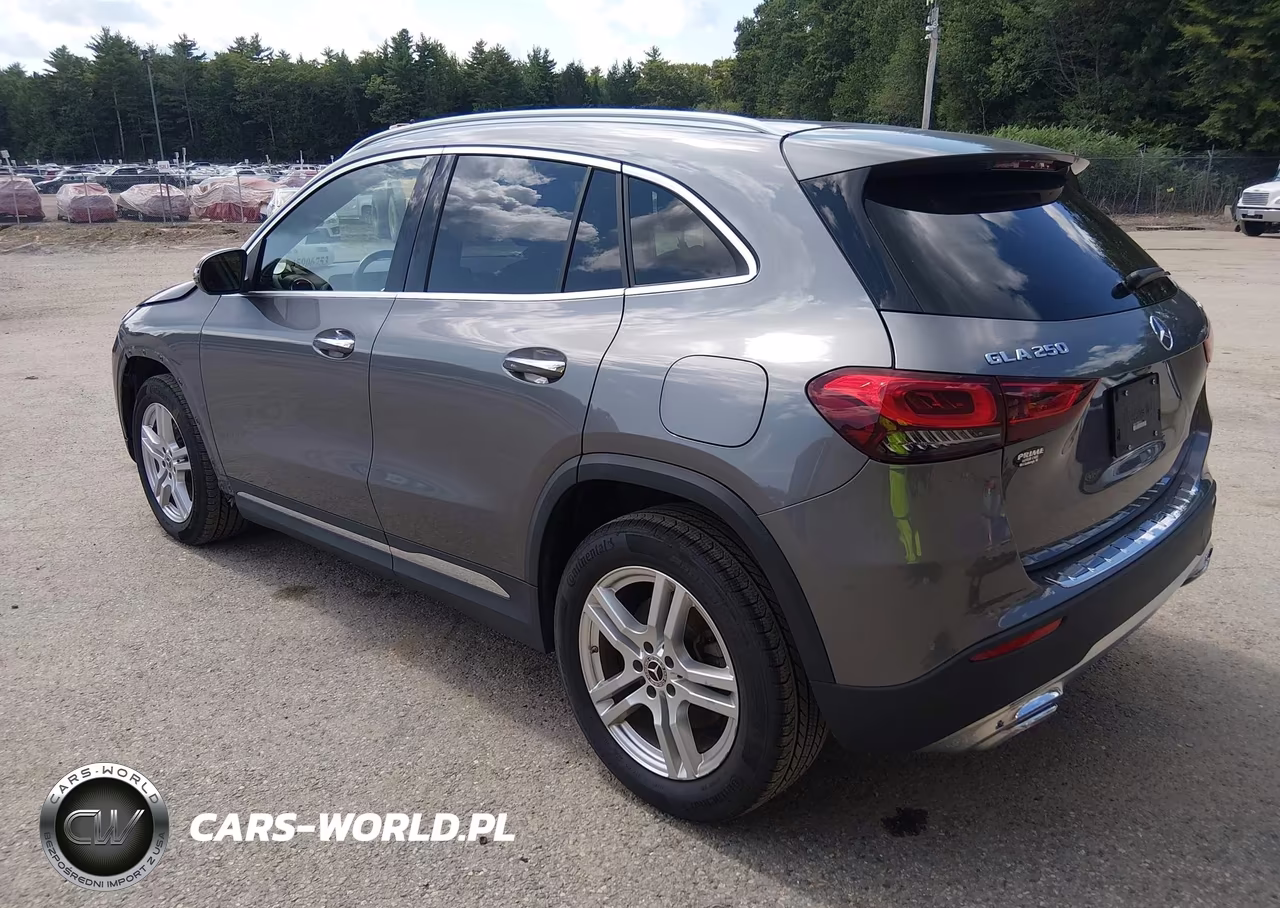 2021 Mercedes-Benz Gla 250 4Matic VIN:W1N4N4HB0MJ189970 - 3