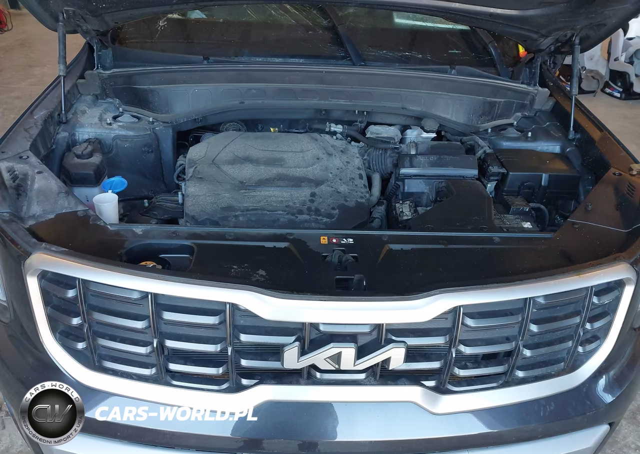 2025 Kia Telluride S VIN:5XYP6DGC7SG675152 - 10