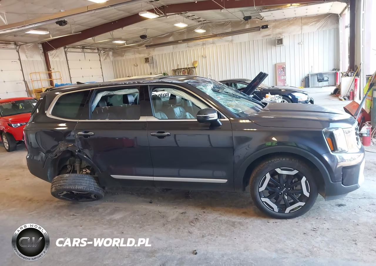 2025 Kia Telluride S VIN:5XYP6DGC7SG675152 - 12