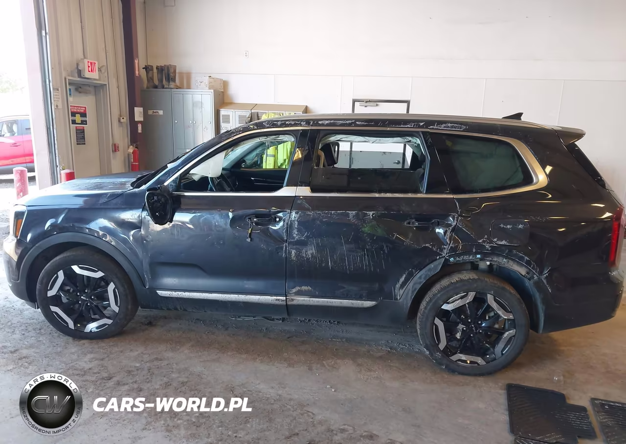 2025 Kia Telluride S VIN:5XYP6DGC7SG675152 - 13