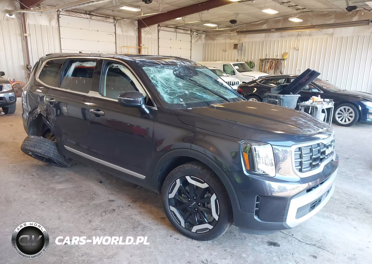2025 Kia Telluride S VIN:5XYP6DGC7SG675152 - 6