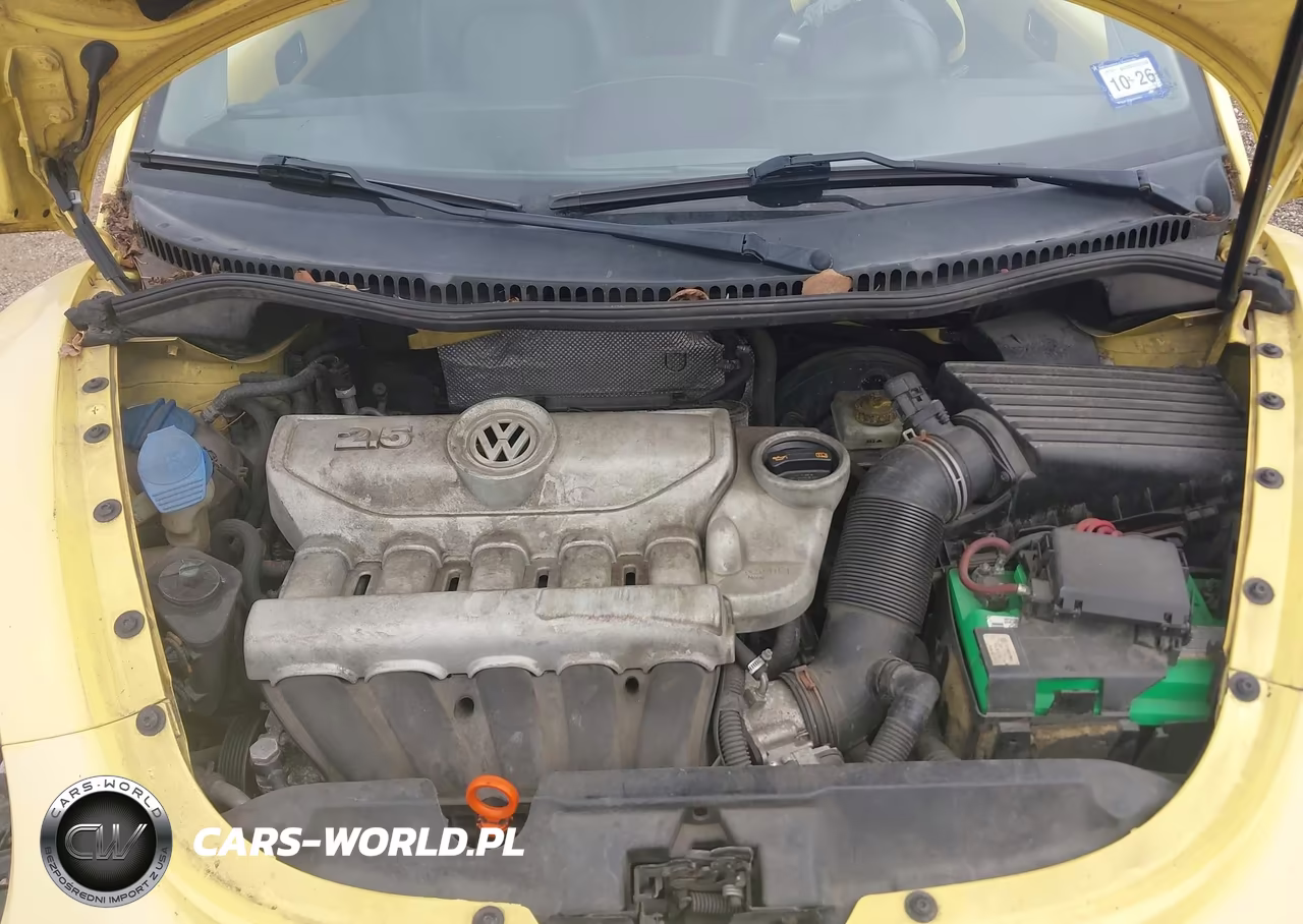 2009 Volkswagen New Beetle 2.5L VIN:3VWRW31C49M500900 - 10