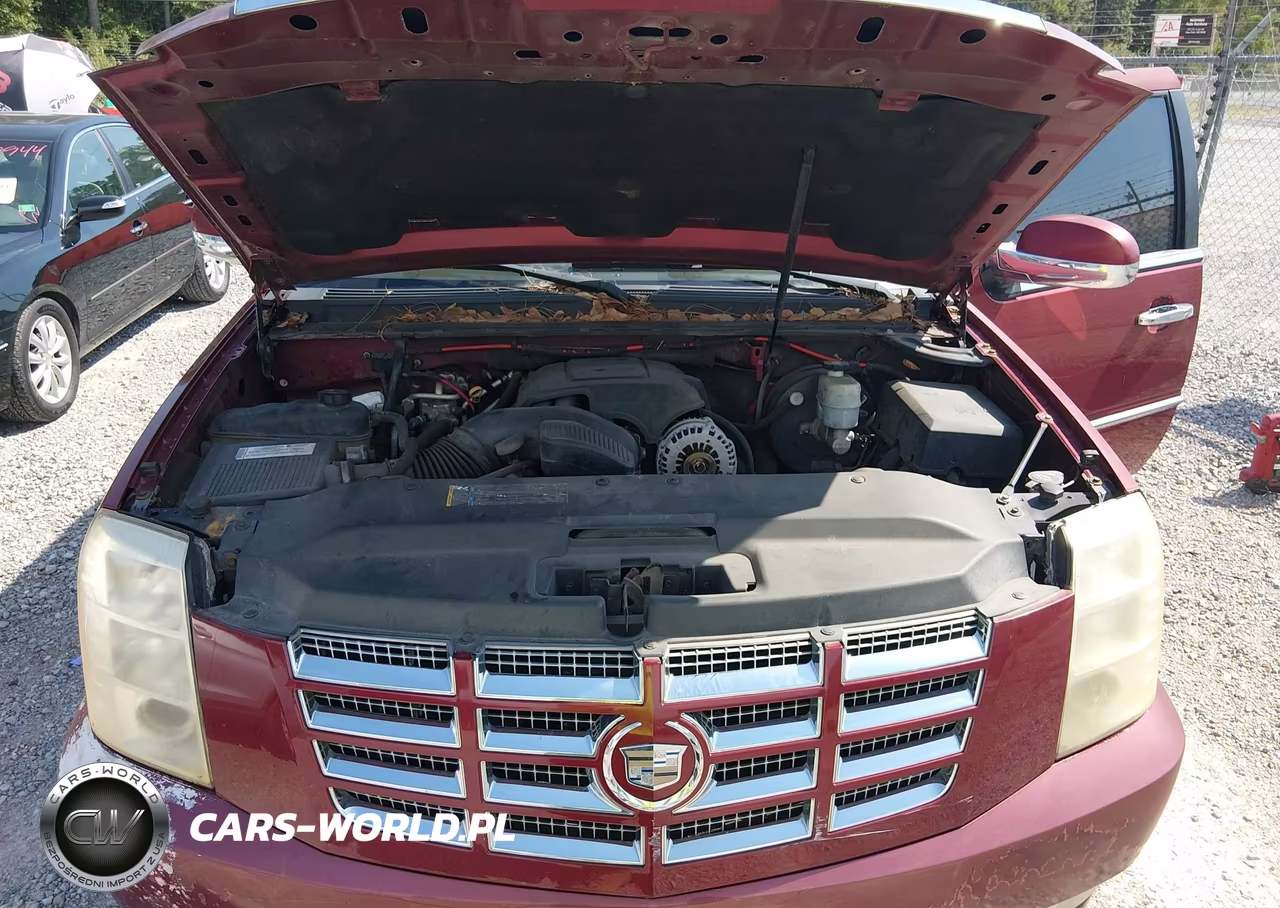 2008 Cadillac Escalade Standard VIN:1GYEC638X8R121962 - 10