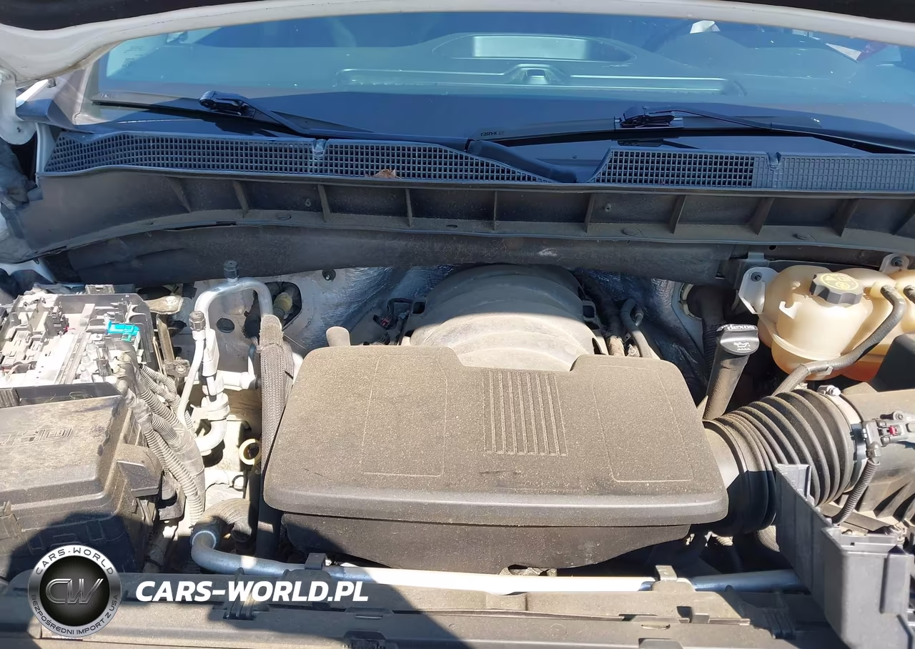 2019 Chevrolet Silverado 1500 Lt Trail Boss VIN:3GCPYFED4KG110554 - 10