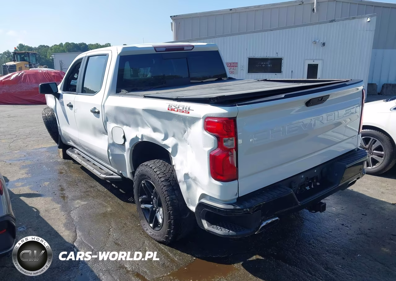 2019 Chevrolet Silverado 1500 Lt Trail Boss VIN:3GCPYFED4KG110554 - 3
