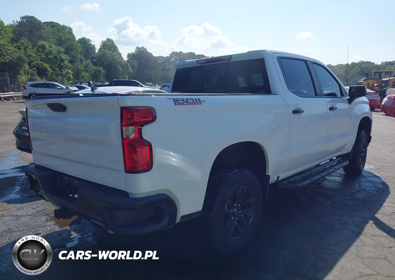 2019 Chevrolet Silverado 1500 Lt Trail Boss VIN:3GCPYFED4KG110554 - 4