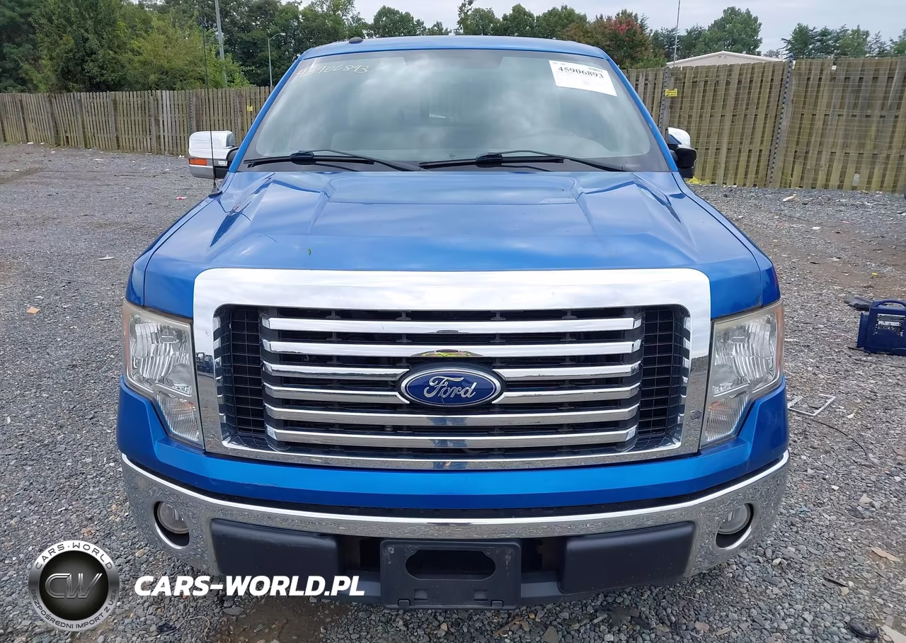 2010 Ford F-150 Xlt VIN:1FTFX1EV9AFD75318 - 12