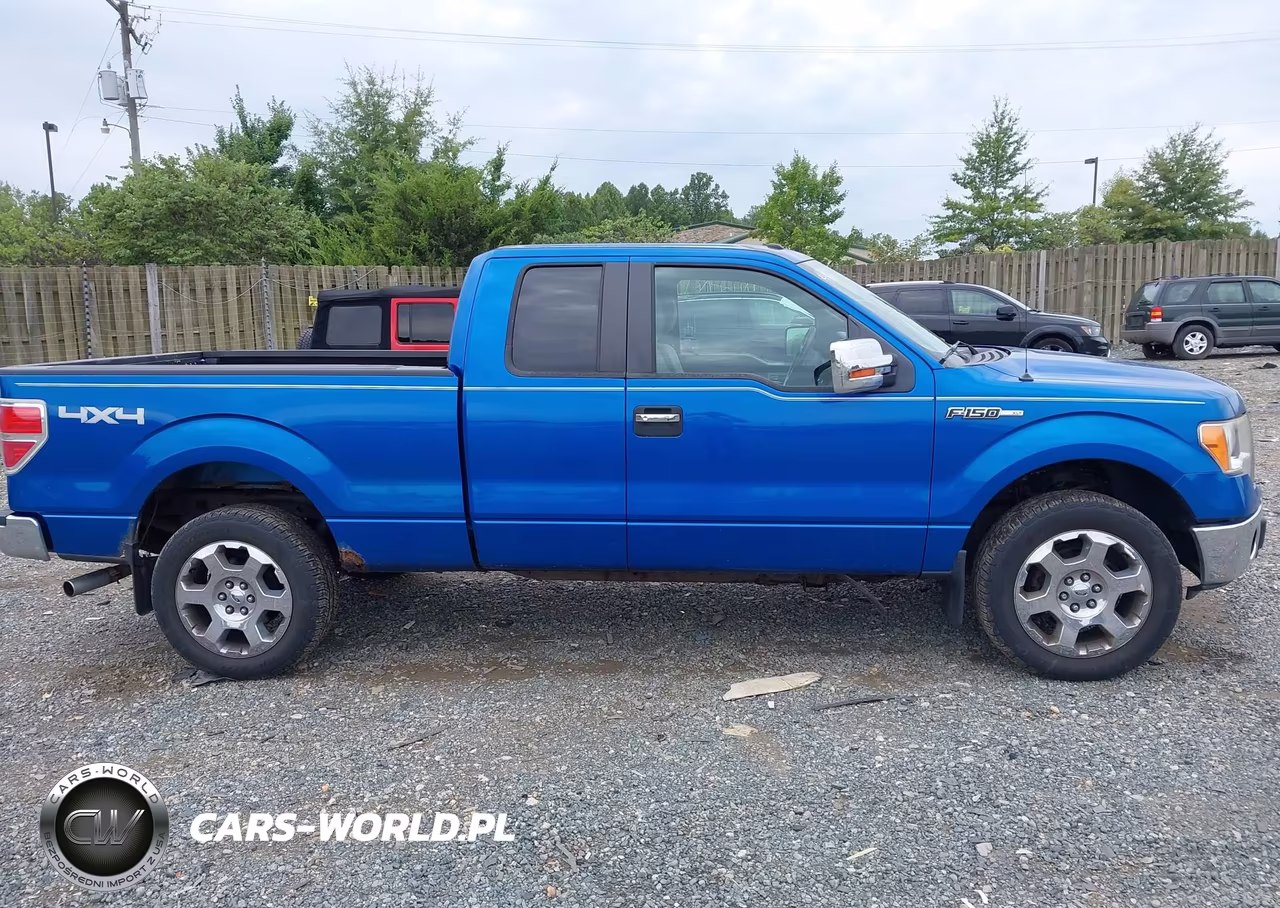 2010 Ford F-150 Xlt VIN:1FTFX1EV9AFD75318 - 13