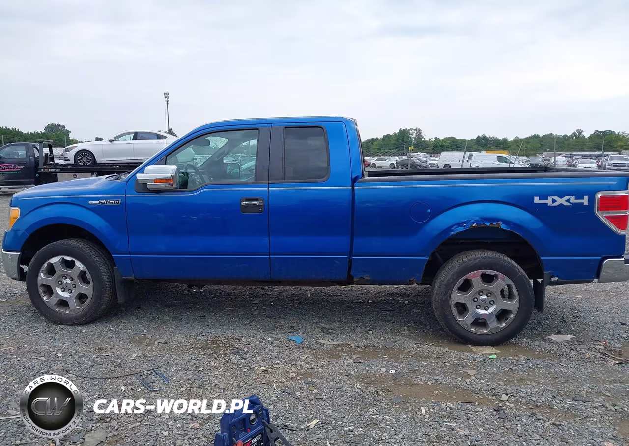 2010 Ford F-150 Xlt VIN:1FTFX1EV9AFD75318 - 14