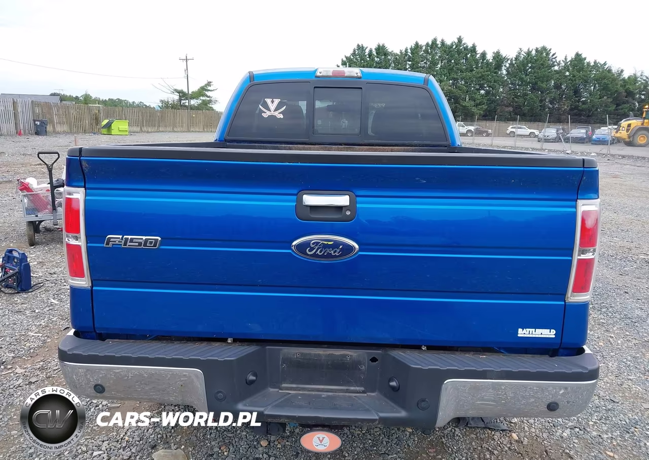 2010 Ford F-150 Xlt VIN:1FTFX1EV9AFD75318 - 16