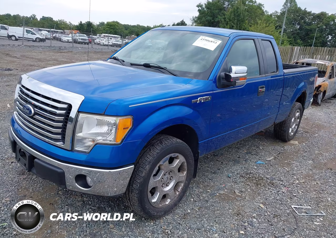 2010 Ford F-150 Xlt VIN:1FTFX1EV9AFD75318 - 2