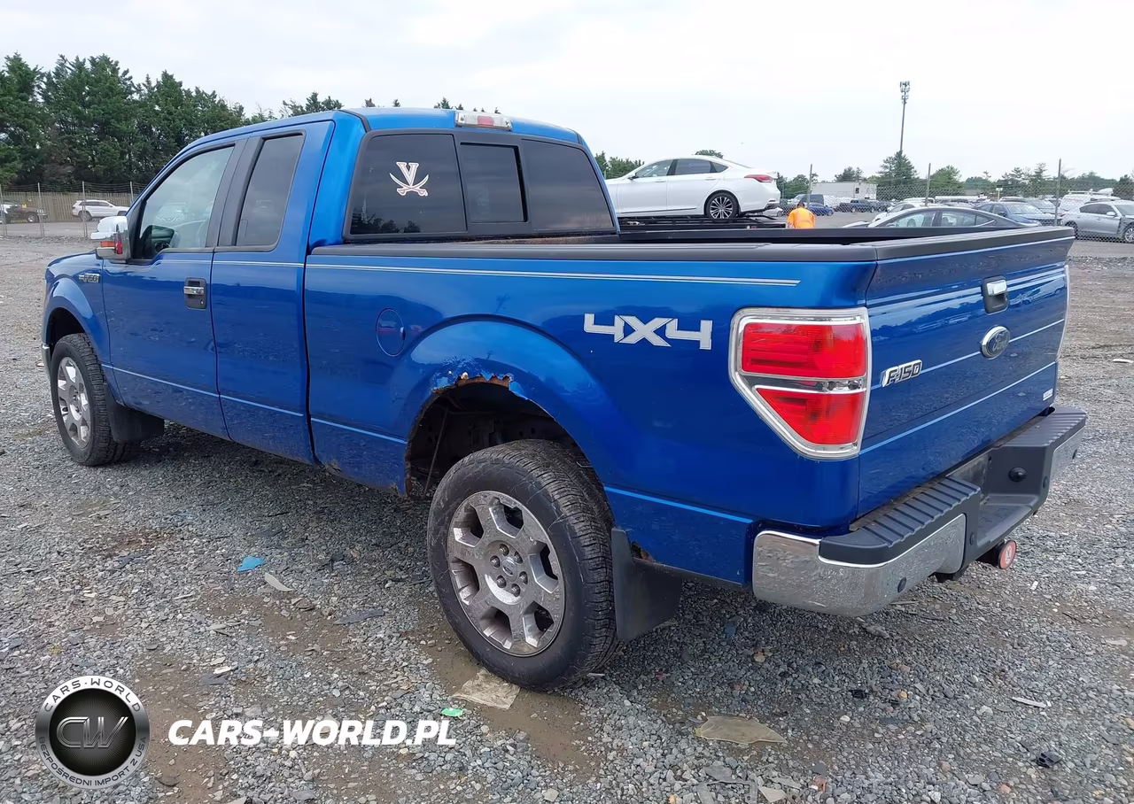 2010 Ford F-150 Xlt VIN:1FTFX1EV9AFD75318 - 3