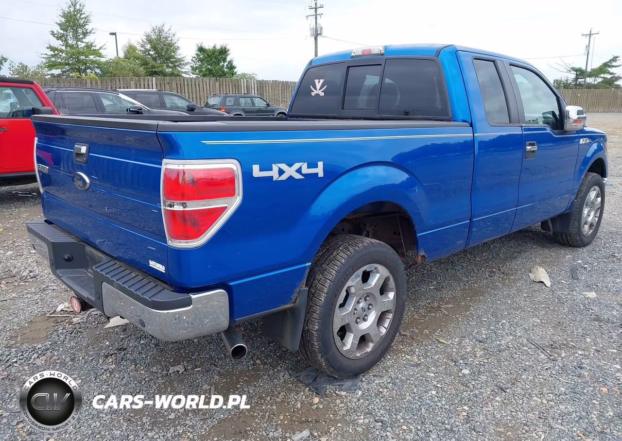 2010 Ford F-150 Xlt VIN:1FTFX1EV9AFD75318 - 4