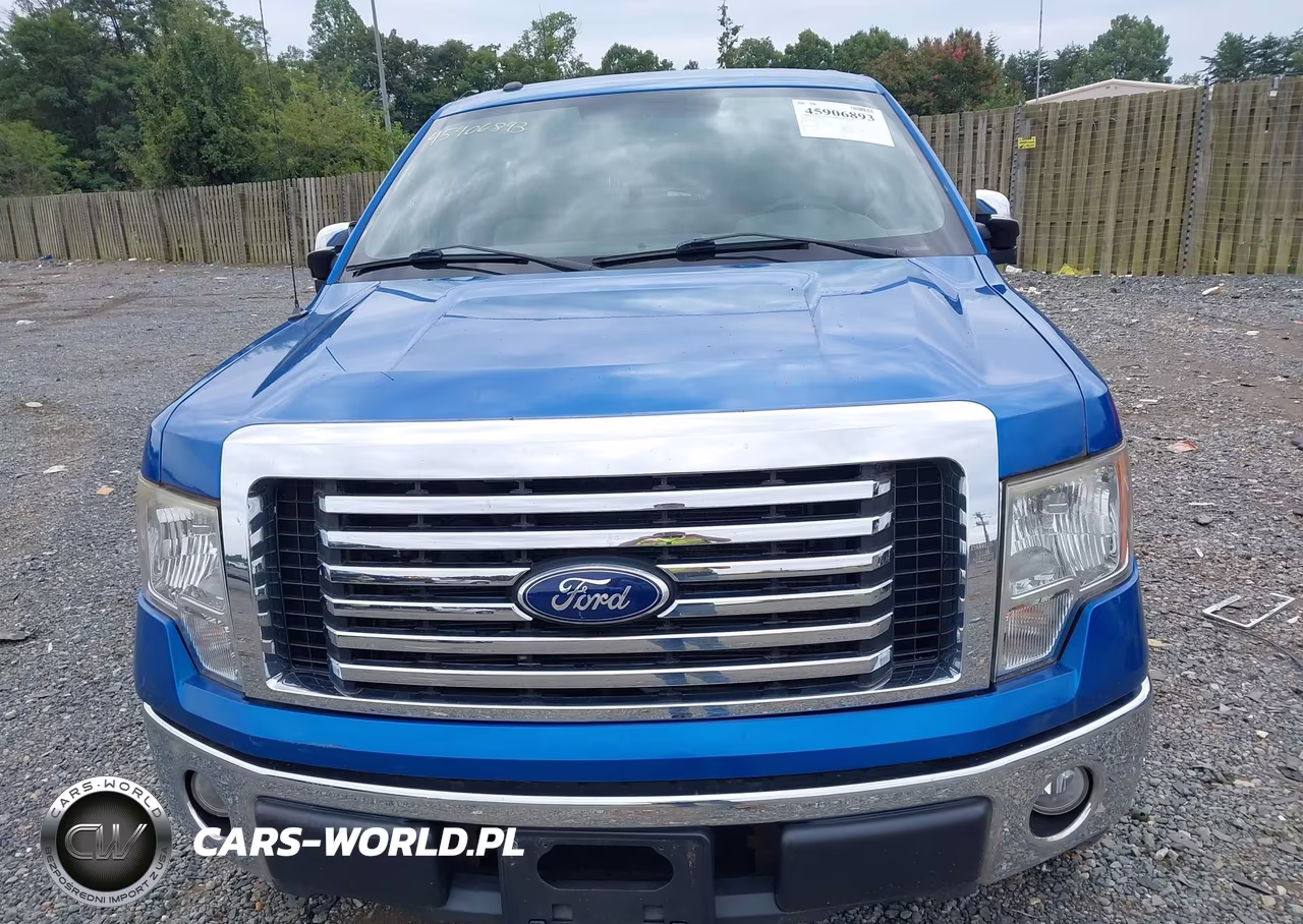 2010 Ford F-150 Xlt VIN:1FTFX1EV9AFD75318 - 6