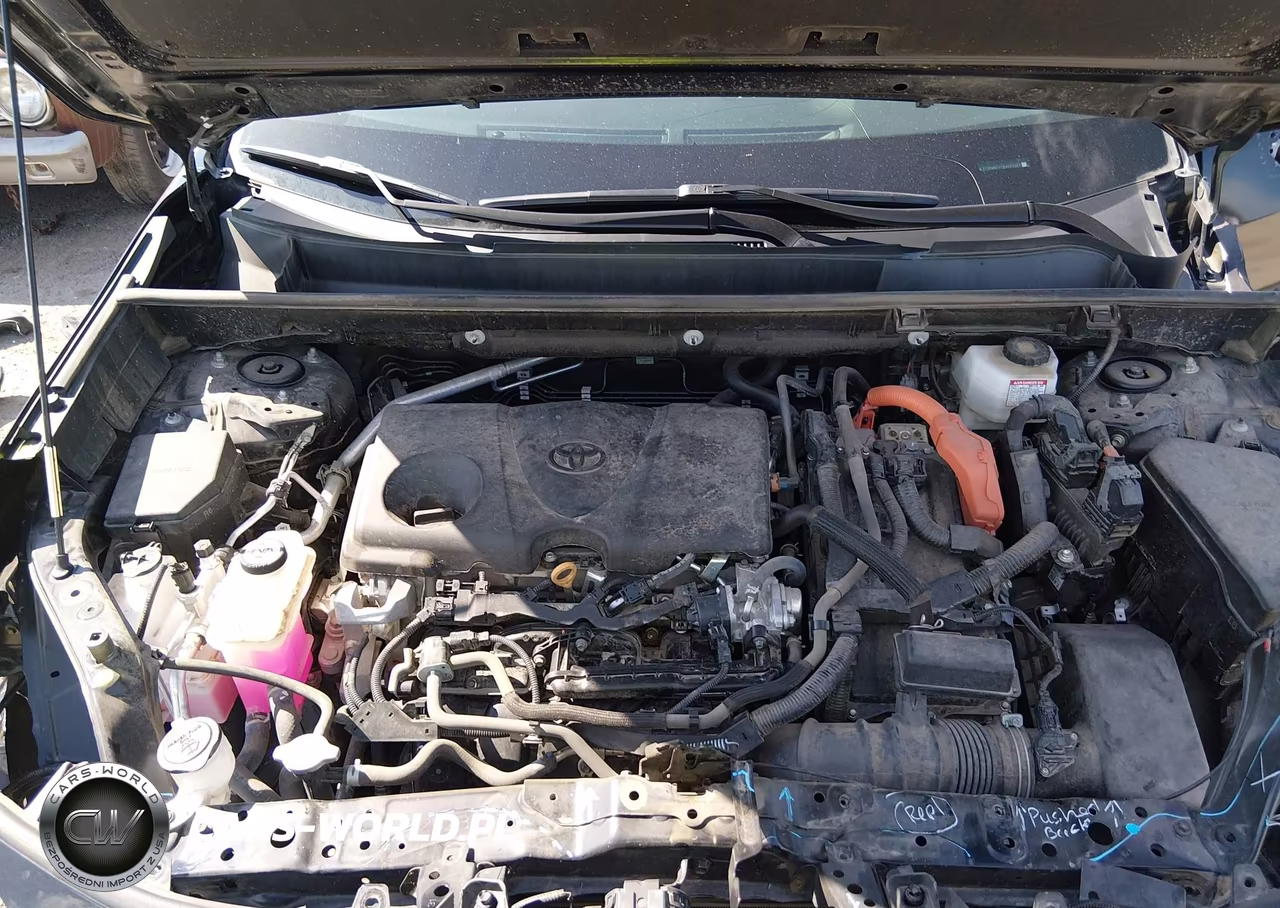 2024 Toyota Rav4 Hybrid Xle VIN:2T3RWRFV5RW203987 - 10
