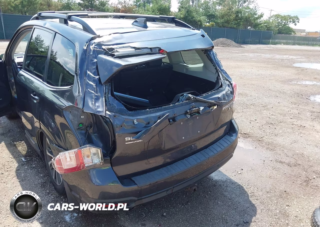 2018 Subaru Forester 2.0Xt Touring VIN:JF2SJGWC0JH567023 - 6