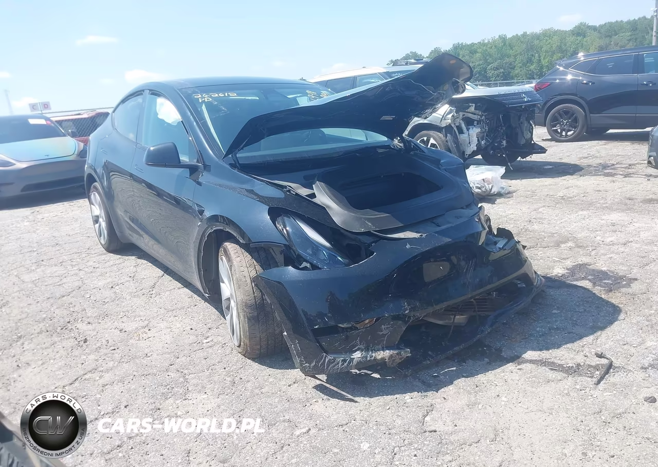 2023 Tesla Model Y VIN:7SAYGDEE9PA165809 - 1