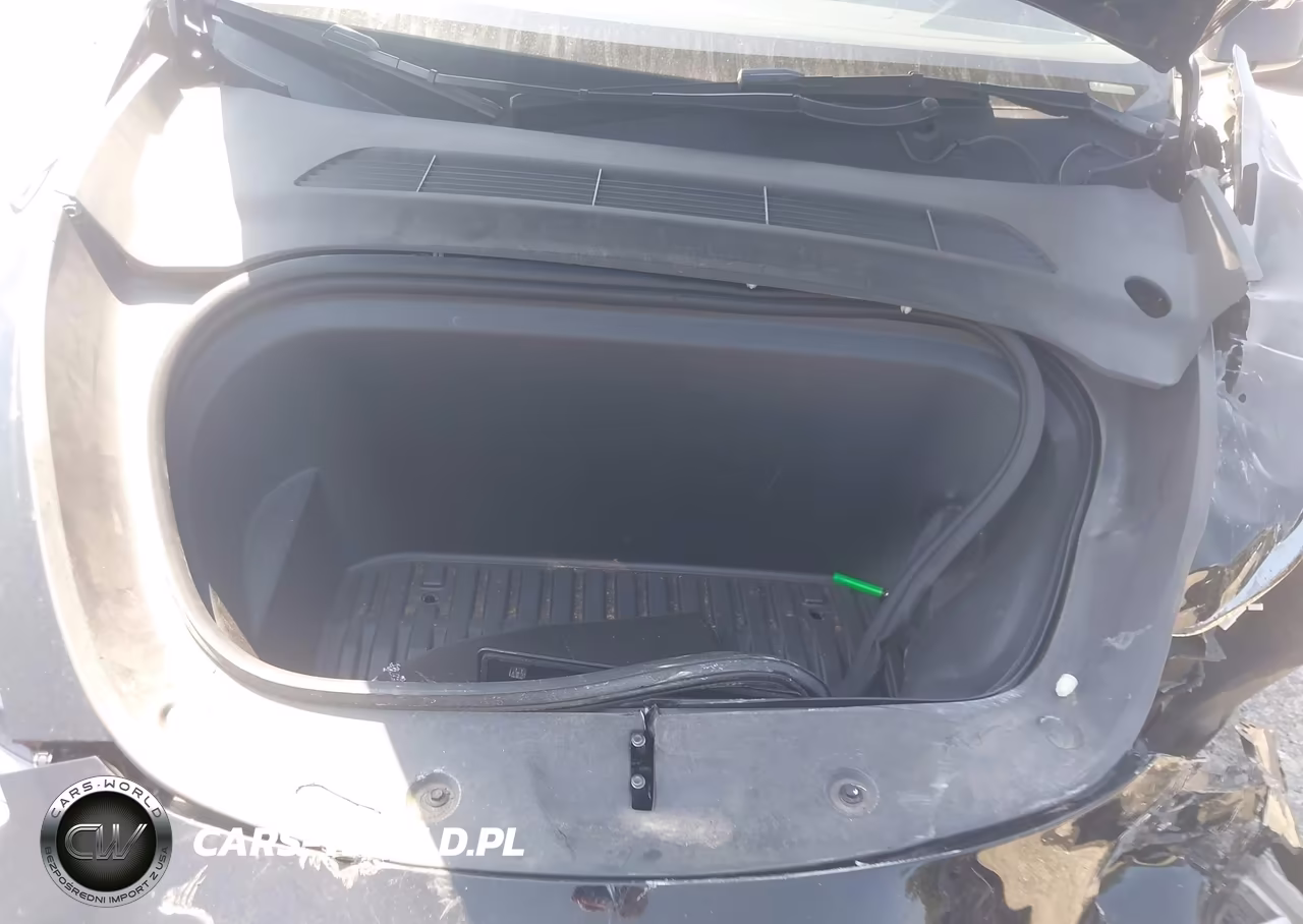 2023 Tesla Model Y VIN:7SAYGDEE9PA165809 - 10